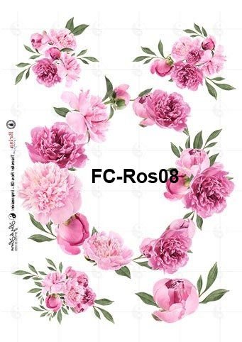 FC-Ros08