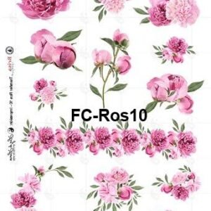 FC-Ros10
