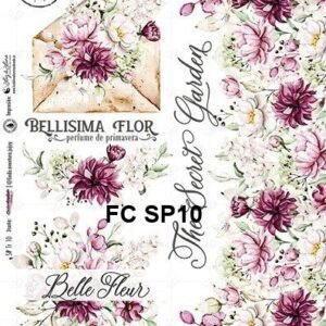 FC-SP-10