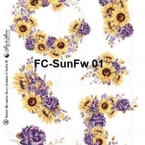 FC-SunFw-01