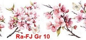FJ-Gr-10