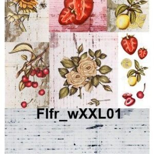 Flfr-XXL01