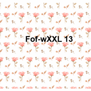 Fof-wXXL13