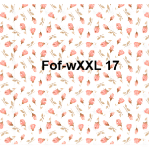 Fof-wXXL17