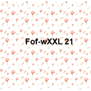 Fof-wXXL21