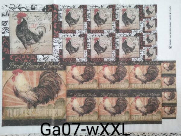 Ga-XXL07