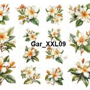 GarXXL09