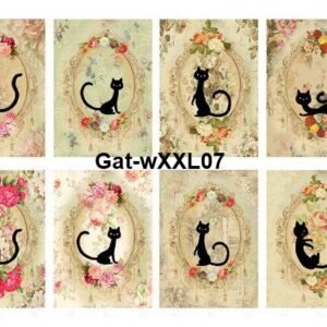 Gat-XXL07