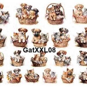 Gat-XXL08