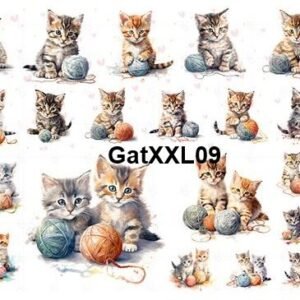 Gat-XXL09
