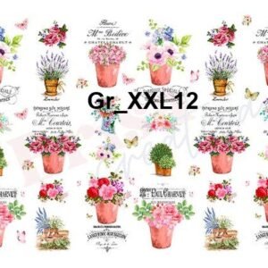 Gr-XXL12