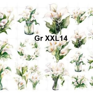Gr-XXL14