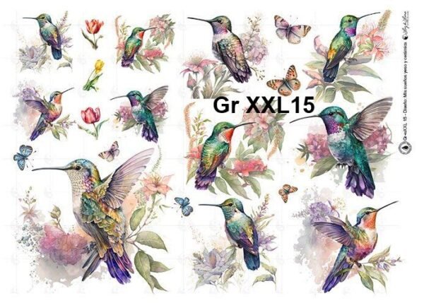 Gr-XXL15