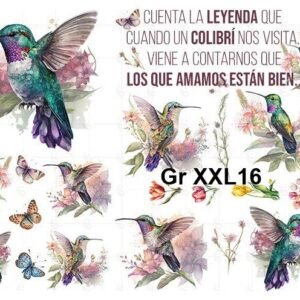 Gr-XXL16