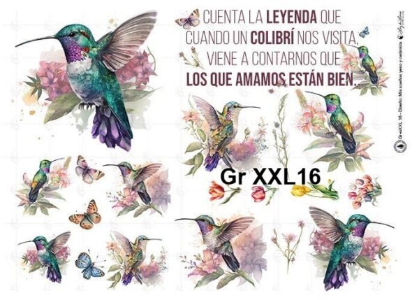 Gr-XXL16