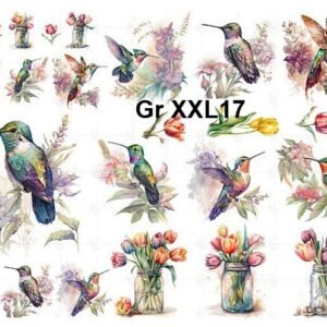Gr-XXL17
