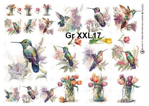 Gr-XXL17