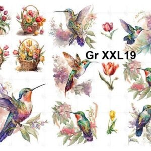 Gr-XXL19