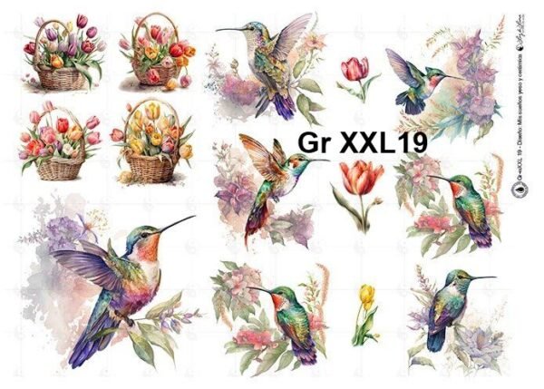 Gr-XXL19