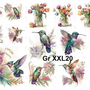 Gr-XXL20