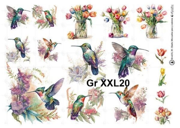 Gr-XXL20