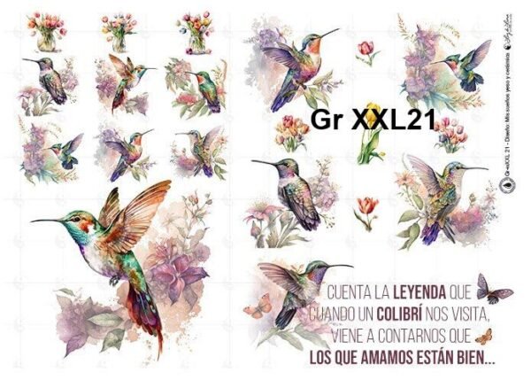 Gr-XXL21
