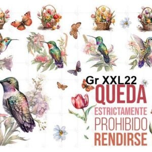Gr-XXL22