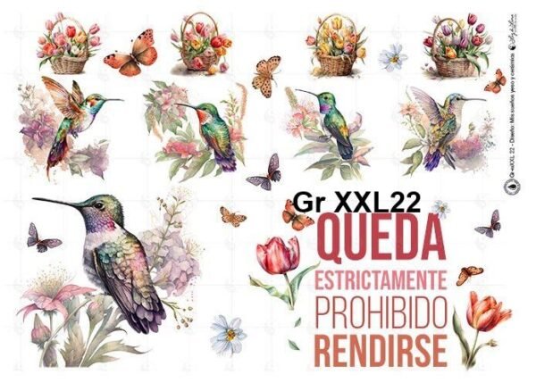 Gr-XXL22