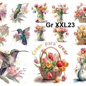 Gr-XXL23