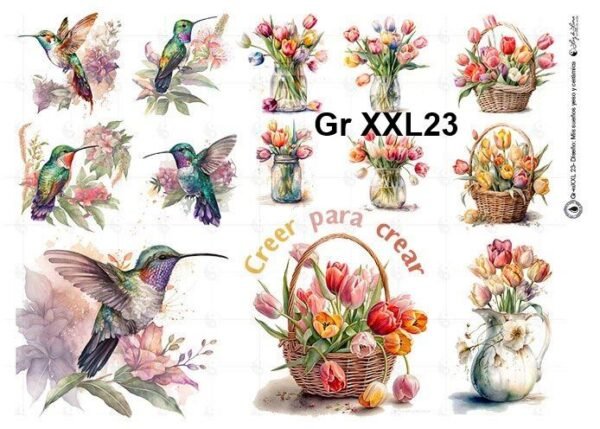 Gr-XXL23