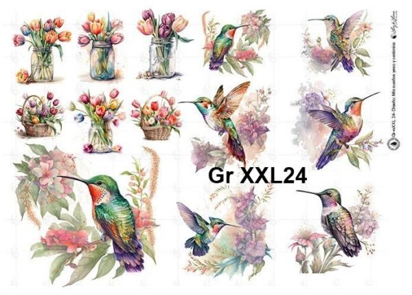 Gr-XXL24