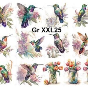 Gr-XXL25