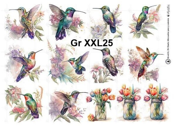 Gr-XXL25