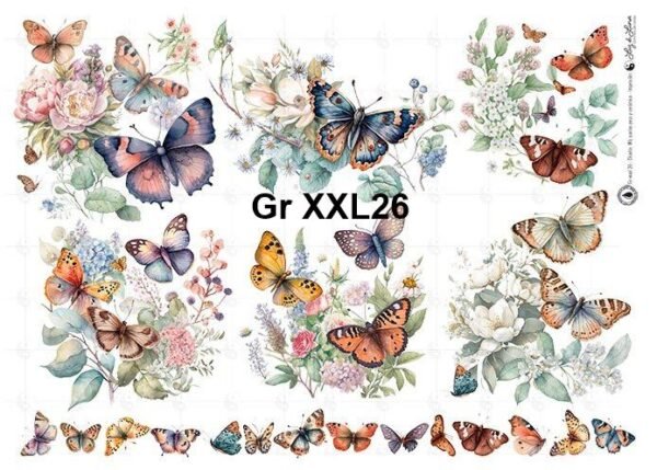 Gr-XXL26