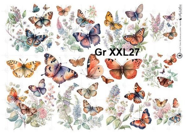 Gr-XXL27