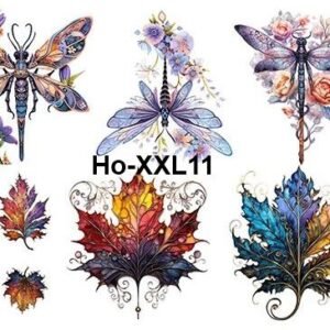 Ho-XXL11