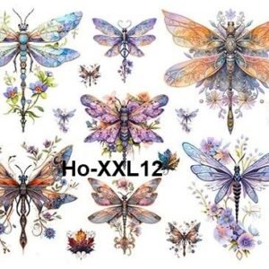Ho-XXL12