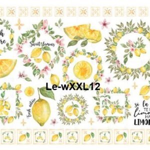 Le-wXXL12