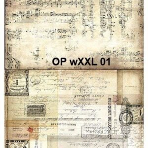 OP-wXXL-01