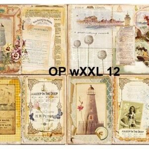 OP-wXXL-12