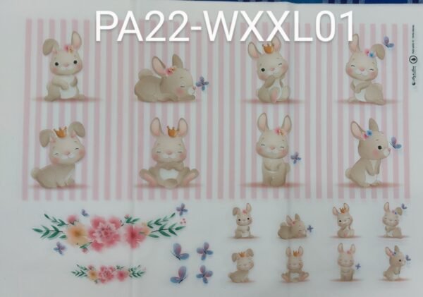 PA22-wXXL01