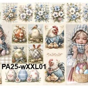 PA25-wXXL01