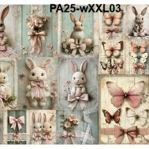 PA25-wXXL03