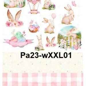Pa23-wXXL01