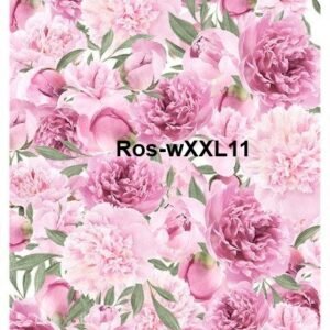 Ros-XXL11