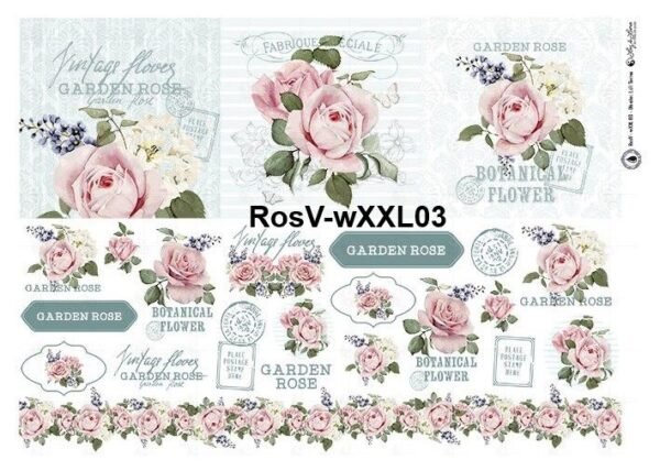 RosV-XXL03