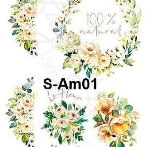 S-Am01