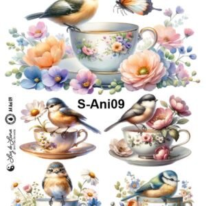 S-Ani-09
