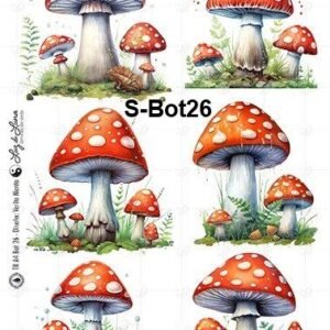S-Bot26