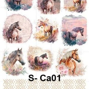 S-Ca01
